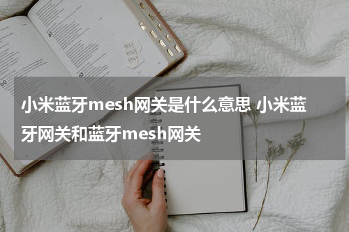 小米蓝牙mesh网关是什么意思 小米蓝牙网关和蓝牙mesh网关