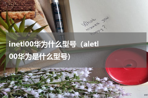 inetl00华为什么型号（aletl00华为是什么型号）