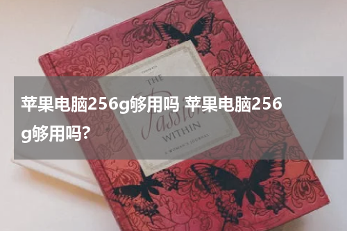 苹果电脑256g够用吗 苹果电脑256g够用吗?