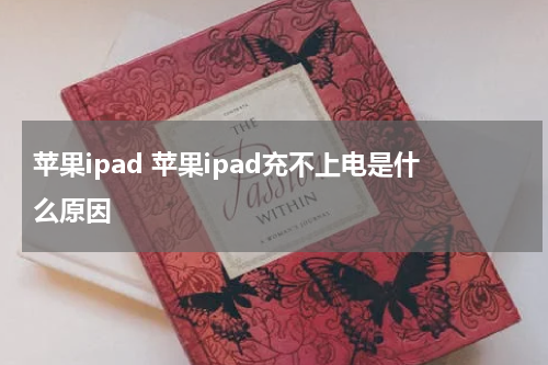 苹果ipad 苹果ipad充不上电是什么原因