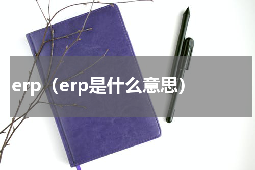 erp（erp是什么意思）
