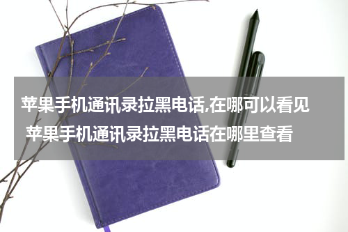 苹果手机通讯录拉黑电话,在哪可以看见  苹果手机通讯录拉黑电话在哪里查看