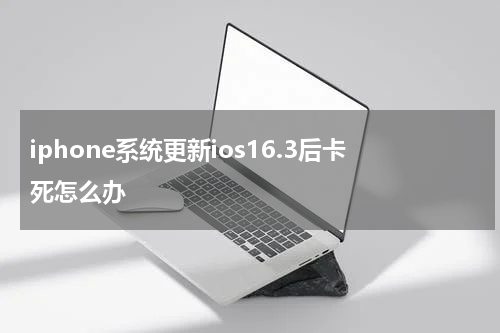 iphone系统更新ios16.3后卡死怎么办