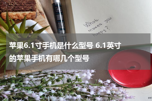 苹果6.1寸手机是什么型号 6.1英寸的苹果手机有哪几个型号