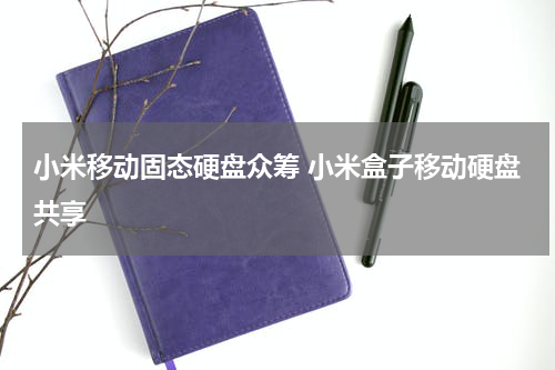 小米移动固态硬盘众筹 小米盒子移动硬盘共享