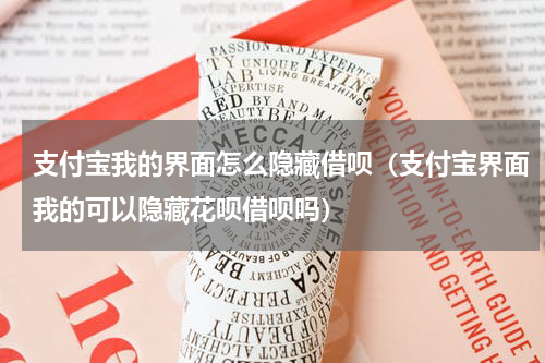 支付宝我的界面怎么隐藏借呗（支付宝界面我的可以隐藏花呗借呗吗）