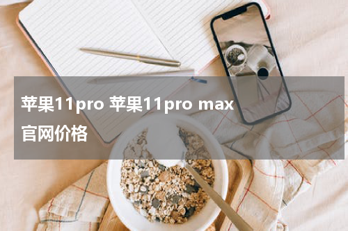 苹果11pro 苹果11pro max官网价格