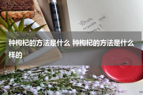 种枸杞的方法是什么 种枸杞的方法是什么样的