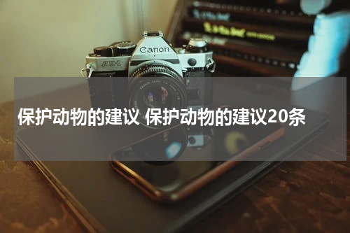 保护动物的建议 保护动物的建议20条