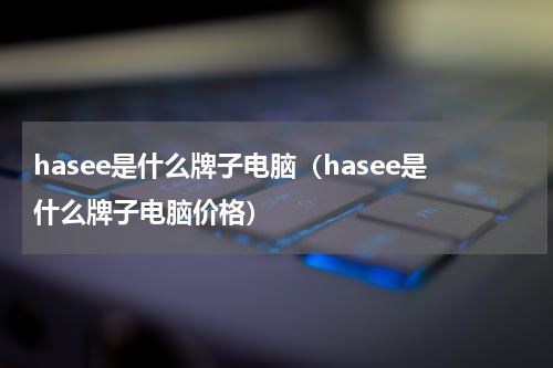 hasee是什么牌子电脑（hasee是什么牌子电脑价格）