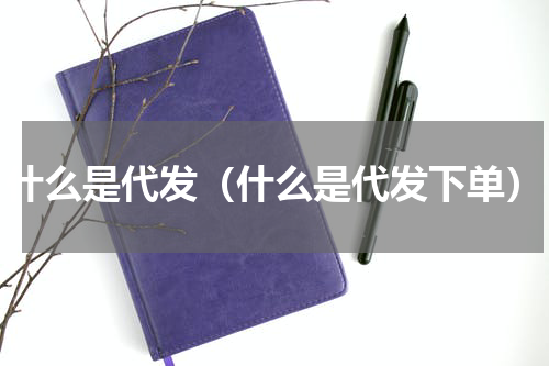 什么是代发（什么是代发下单）