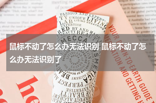 鼠标不动了怎么办无法识别 鼠标不动了怎么办无法识别了