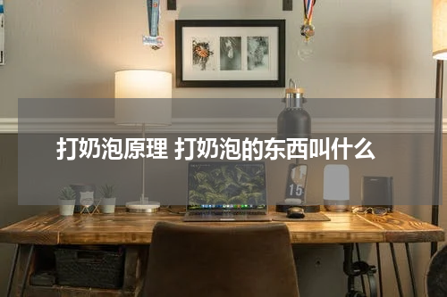 打奶泡原理 打奶泡的东西叫什么