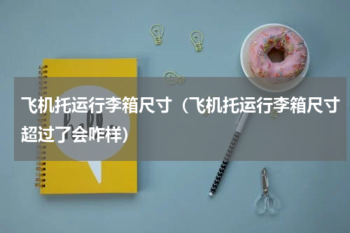飞机托运行李箱尺寸（飞机托运行李箱尺寸超过了会咋样）