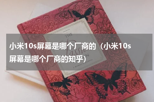 小米10s屏幕是哪个厂商的（小米10s屏幕是哪个厂商的知乎）