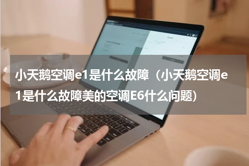 小天鹅空调e1是什么故障（小天鹅空调e1是什么故障美的空调E6什么问题）