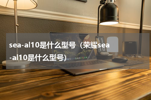 sea-al10是什么型号（荣耀sea-al10是什么型号）