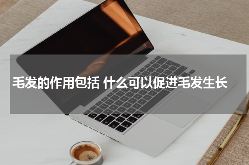 毛发的作用包括 什么可以促进毛发生长