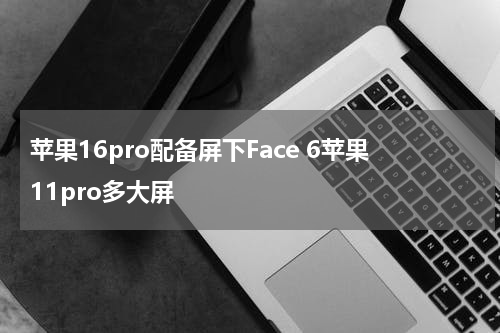 苹果16pro配备屏下Face 6苹果11pro多大屏