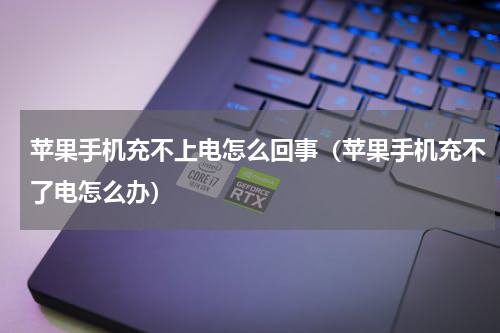 苹果手机充不上电怎么回事（苹果手机充不了电怎么办）