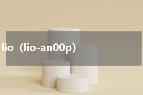 lio（lio-an00p）