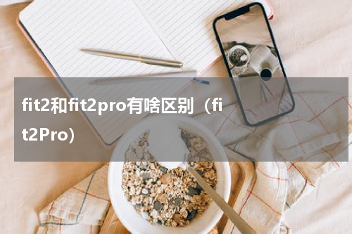fit2和fit2pro有啥区别（fit2Pro）