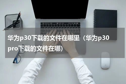 华为p30下载的文件在哪里（华为p30pro下载的文件在哪）