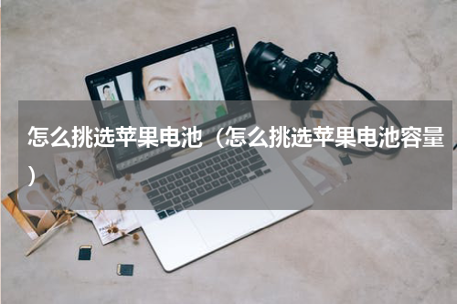 怎么挑选苹果电池（怎么挑选苹果电池容量）