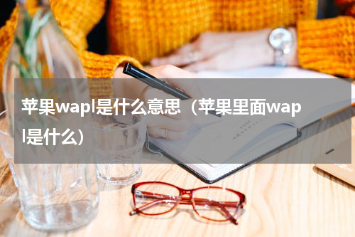 苹果wapl是什么意思（苹果里面wapl是什么）