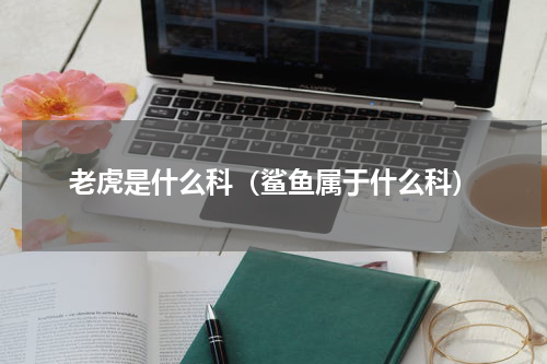 老虎是什么科（鲨鱼属于什么科）