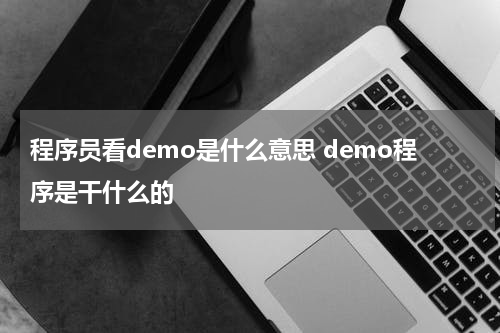 程序员看demo是什么意思 demo程序是干什么的
