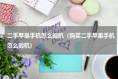 二手苹果手机怎么验机（购买二手苹果手机怎么验机）