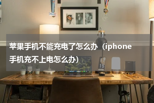 苹果手机不能充电了怎么办（iphone手机充不上电怎么办）