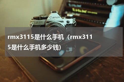 rmx3115是什么手机（rmx3115是什么手机多少钱）