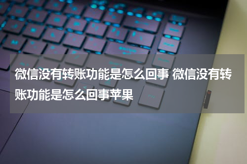 微信没有转账功能是怎么回事 微信没有转账功能是怎么回事苹果