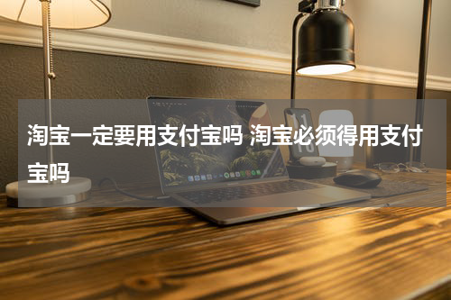 淘宝一定要用支付宝吗 淘宝必须得用支付宝吗