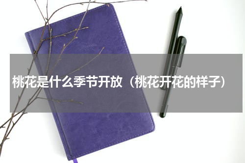 桃花是什么季节开放（桃花开花的样子）