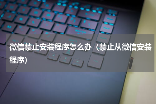 微信禁止安装程序怎么办（禁止从微信安装程序）