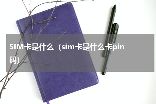 SIM卡是什么（sim卡是什么卡pin码）