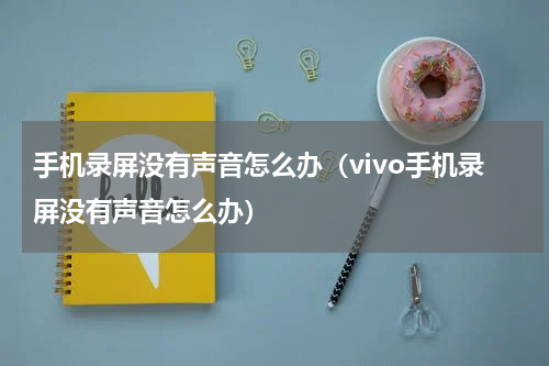 手机录屏没有声音怎么办（vivo手机录屏没有声音怎么办）