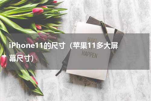 iPhone11的尺寸（苹果11多大屏幕尺寸）