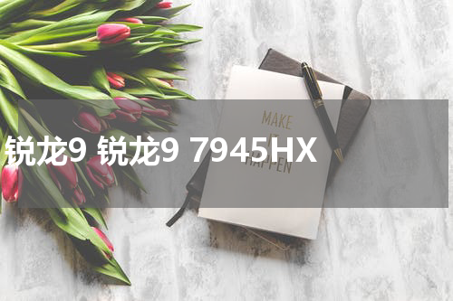 锐龙9 锐龙9 7945HX