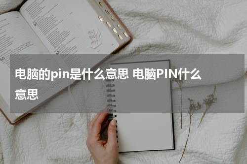电脑的pin是什么意思 电脑PIN什么意思