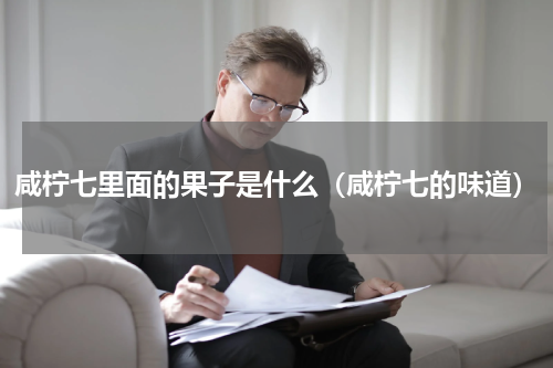 咸柠七里面的果子是什么（咸柠七的味道）