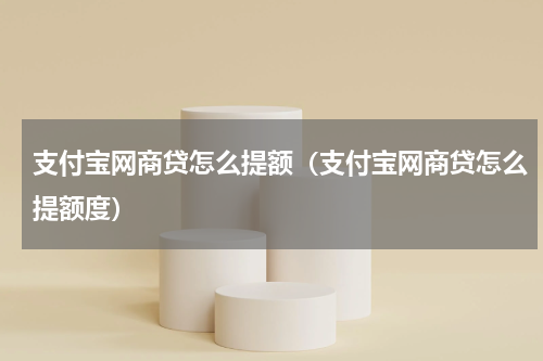 支付宝网商贷怎么提额（支付宝网商贷怎么提额度）