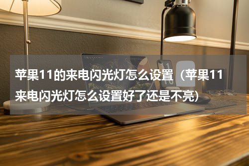 苹果11的来电闪光灯怎么设置（苹果11来电闪光灯怎么设置好了还是不亮）