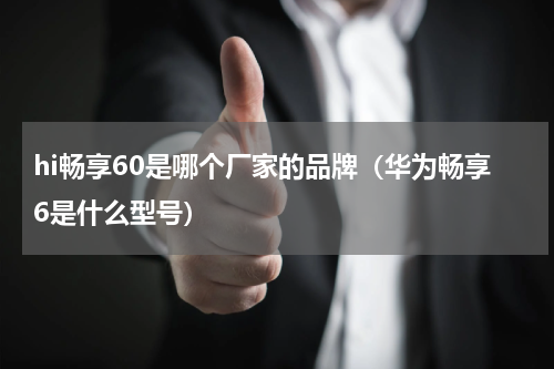 hi畅享60是哪个厂家的品牌（华为畅享6是什么型号）