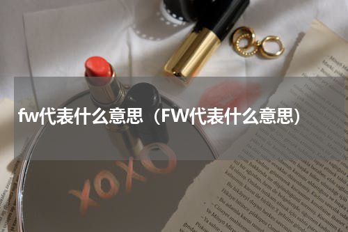 fw代表什么意思（FW代表什么意思）