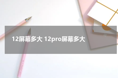 12屏幕多大 12pro屏幕多大