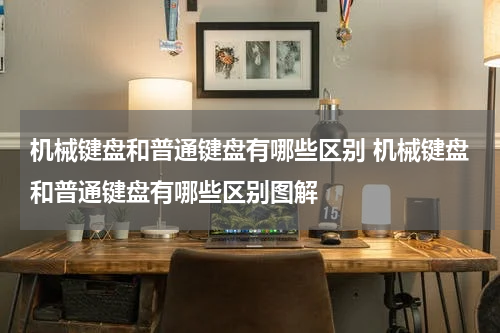 机械键盘和普通键盘有哪些区别 机械键盘和普通键盘有哪些区别图解